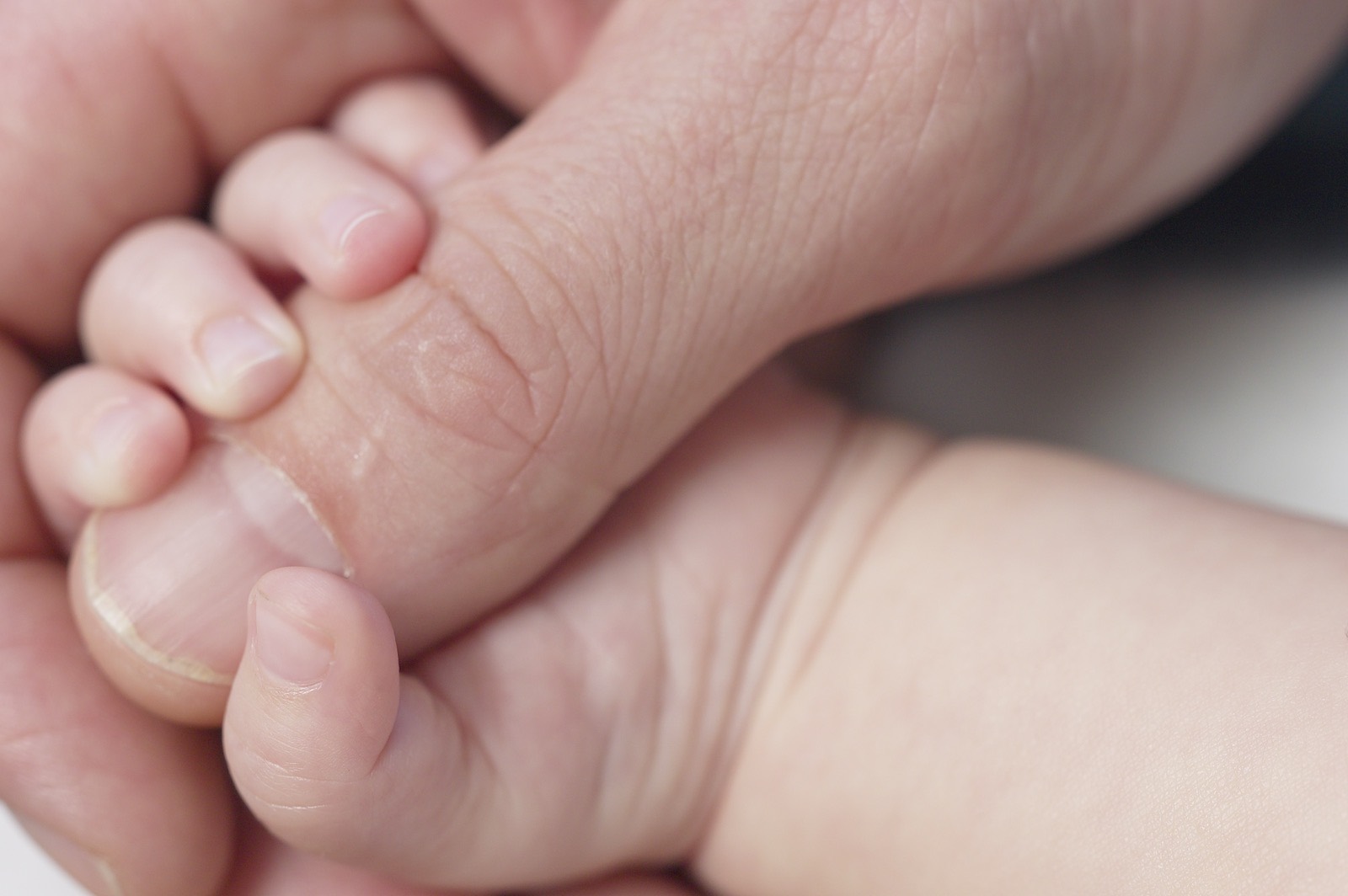 Seguro de vida para proteger a la familia