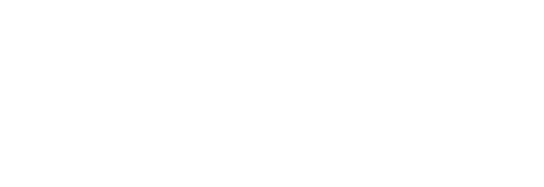 Opciones en Seguros